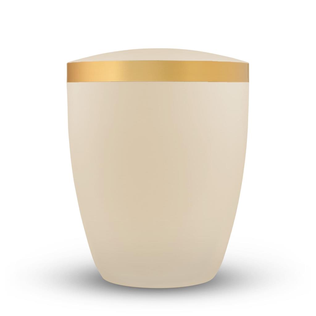 Naturstoffurne, seashell lackiert, Goldband