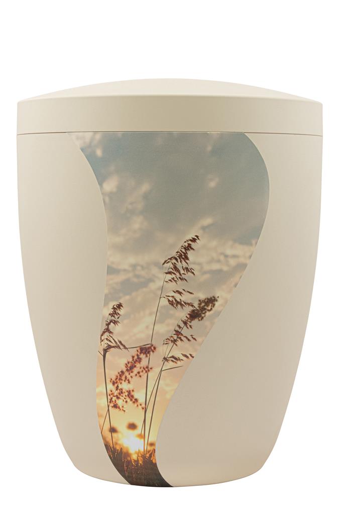 Biourne, seashell, 'Ähren'